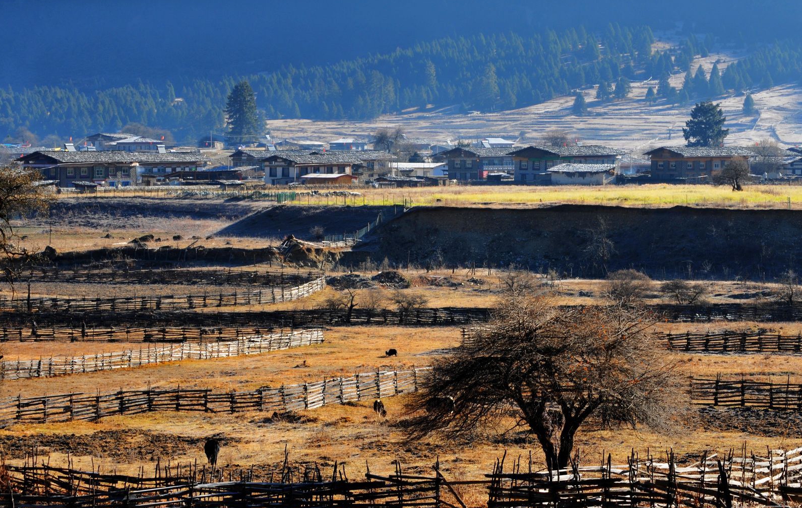 金色福旅游-老年旅游-老年旅游团-北京金色福国际旅行社有限公司 - P23:川滇藏金秋寻梦摄影团-成都、牛背山、新都桥、贡嘎雪山、稻城、亚丁、日瓦、香格里拉、德钦、芒康、然乌、波密、林芝 四人一辆越野车 双卧21日