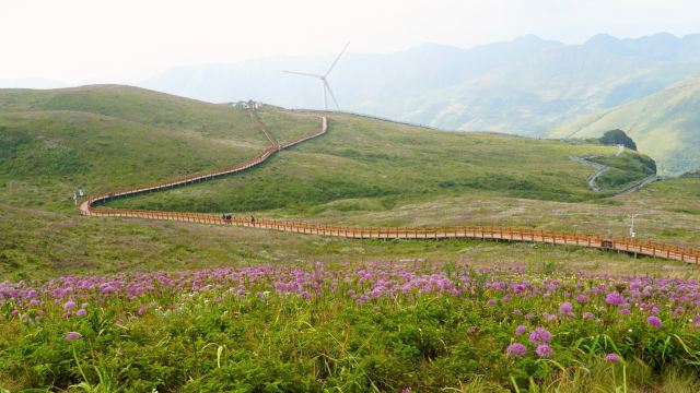 X30：黔川山水-毕节、六盘水（“乌蒙之颠”小韭菜坪、大韭菜坪天上花海景区、明湖国家湿地公园）、威宁草海、夜郎国家森林公园、兴文石海国家地质公园、宜宾（蜀南竹海、李庄古镇）、赤水（赤水大瀑布、丙安古镇、燕子岩、四洞沟、大同古镇、佛光岩）、茅台镇、遵义会议旧址、双河溶洞国家地质公园  双飞9日 （10-15人）